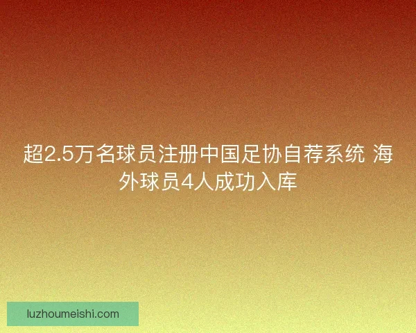 超2.5万名球员注册中国足协自荐系统 海外球员4人成功入库